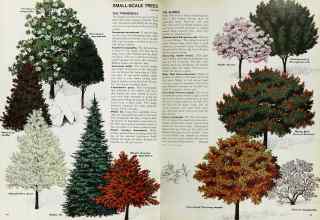 Better Homes & Gardens April 1969 Magazine Article: Page 84