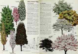 Better Homes & Gardens April 1969 Magazine Article: Page 86