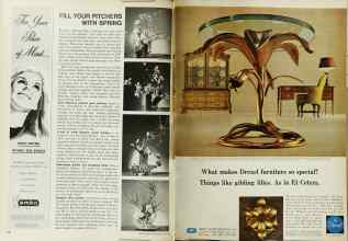 Better Homes & Gardens April 1969 Magazine Article: Page 120