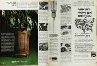 Better Homes & Gardens April 1969 Magazine Article: GET THE JUMP ON SUMMER COLOR