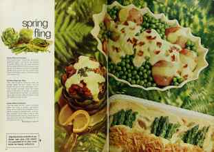 Better Homes & Gardens May 1969 Magazine Article: Page 84