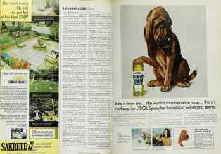 Better Homes & Gardens June 1969 Magazine Article: Page 40