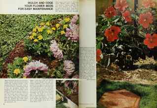 Better Homes & Gardens June 1969 Magazine Article: MULCH AND EDGE YOUR FLOWER BEDS FOR EASY MAINTENANCE