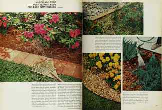Better Homes & Gardens June 1969 Magazine Article: Page 64