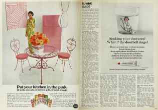 Better Homes & Gardens June 1969 Magazine Article: Page 102