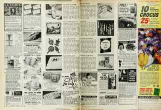 Better Homes & Gardens August 1969 Magazine Article: Page 96