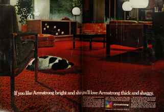 Better Homes & Gardens September 1969 Magazine Article: Page 8