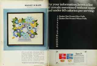 Better Homes & Gardens September 1969 Magazine Article: Page 106