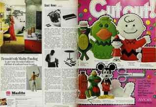 Better Homes & Gardens October 1969 Magazine Article: Page 32