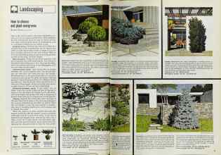 Better Homes & Gardens October 1969 Magazine Article: How to choose and plant evergreens
