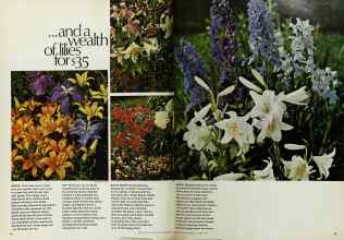 Better Homes & Gardens October 1969 Magazine Article: Page 78