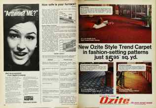 Better Homes & Gardens October 1969 Magazine Article: Page 150