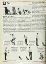 Better Homes & Gardens November 1969 Magazine Article: Send your dog to school?