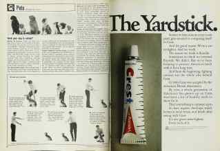 Better Homes & Gardens November 1969 Magazine Article: Page 46