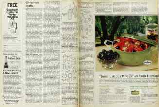 Better Homes & Gardens December 1969 Magazine Article: Page 80
