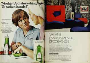 Better Homes & Gardens February 1970 Magazine Article: Page 42