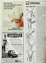 Better Homes & Gardens March 1970 Magazine Article: How to repair trees