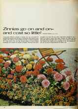 Better Homes & Gardens March 1970 Magazine Article: Zinnias go on and on-- and cost so little!