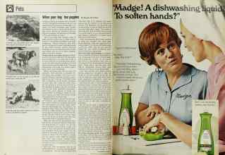 Better Homes & Gardens March 1970 Magazine Article: Page 20