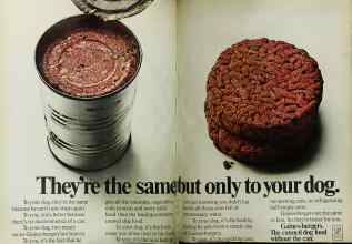 Better Homes & Gardens March 1970 Magazine Article: Page 50