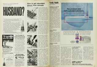 Better Homes & Gardens March 1970 Magazine Article: Page 152