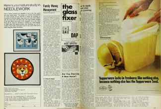 Better Homes & Gardens March 1970 Magazine Article: Page 156
