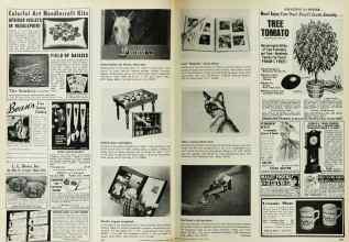 Better Homes & Gardens March 1970 Magazine Article: Page 162