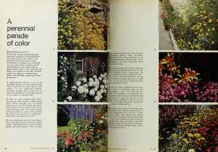 Better Homes & Gardens April 1970 Magazine Article: A perennial parade of color