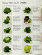 Better Homes & Gardens May 1970 Magazine Article: KNOW YOUR SALAD GREENS