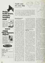 Better Homes & Gardens May 1970 Magazine Article: Tooth care for your dog