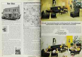 Better Homes & Gardens September 1970 Magazine Article: Page 100