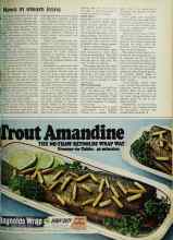 Better Homes & Gardens October 1970 Magazine Article: News in steam irons