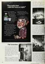 Better Homes & Gardens October 1970 Magazine Article: Fall branches