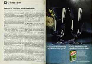 Better Homes & Gardens October 1970 Magazine Article: Page 34