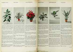 Better Homes & Gardens November 1970 Magazine Article: Page 56