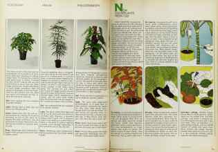 Better Homes & Gardens November 1970 Magazine Article: Page 58