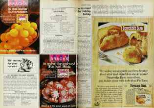 Better Homes & Gardens November 1970 Magazine Article: Page 80