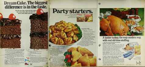 Better Homes & Gardens November 1970 Magazine Article: Page 102