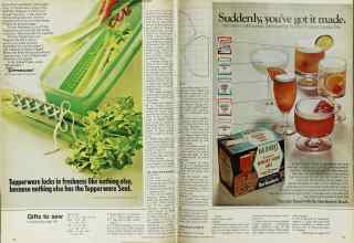 Better Homes & Gardens November 1970 Magazine Article: Page 112