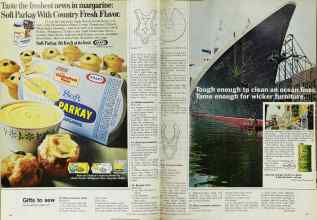 Better Homes & Gardens November 1970 Magazine Article: Page 116