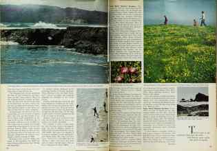 Better Homes & Gardens November 1970 Magazine Article: Page 132