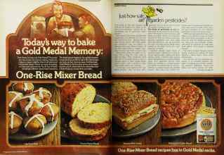 Better Homes & Gardens February 1971 Magazine Article: Page 40