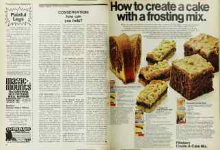 Better Homes & Gardens February 1971 Magazine Article: Page 46