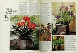 Better Homes & Gardens February 1971 Magazine Article: EXTRAORDINARY PLANTS-- BUT EASY