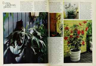Better Homes & Gardens February 1971 Magazine Article: Page 70