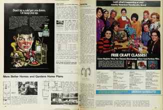 Better Homes & Gardens February 1971 Magazine Article: Page 106