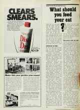 Better Homes & Gardens March 1971 Magazine Article: What should you feed your cat