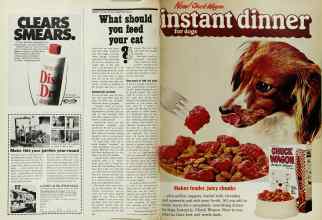 Better Homes & Gardens March 1971 Magazine Article: Page 38