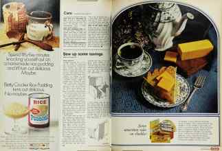 Better Homes & Gardens March 1971 Magazine Article: Page 108