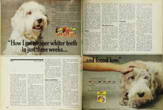 Better Homes & Gardens March 1971 Magazine Article: Page 128